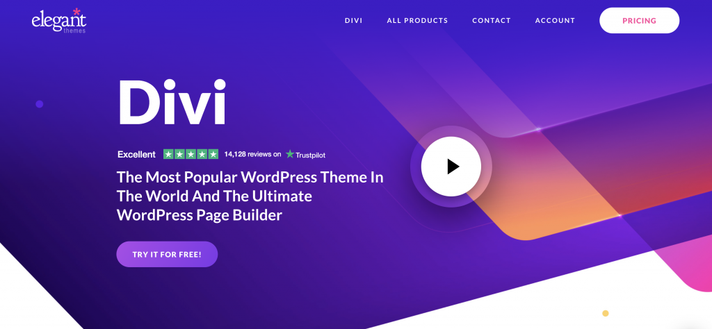 WordPress theme Divi